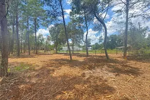 E Pine St, Paisley, FL 32767 - Photo 1