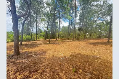 E Pine Street, Paisley, FL 32767 - Photo 3