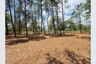 E Pine Street, Paisley, FL 32767 - Photo 9