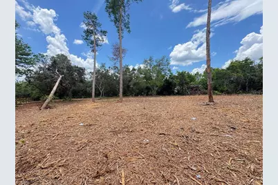 W Pine Street, Paisley, FL 32767 - Photo 5