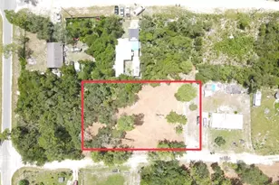 W Pine St, Paisley, FL 32767 - Photo 1