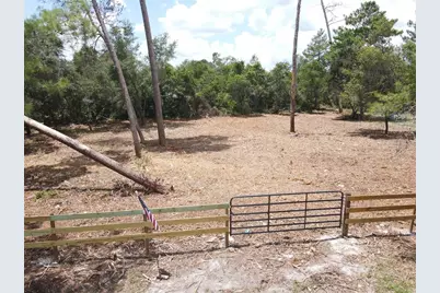 W Pine Street, Paisley, FL 32767 - Photo 3