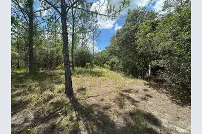 796 Fisher Road, Ocklawaha, FL 32179 - Photo 1