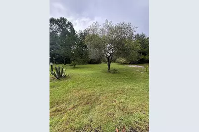 Tbd Sequoia Drive Trace, Ocklawaha, FL 32179 - Photo 3