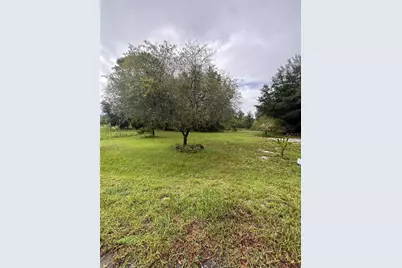 Tbd Sequoia Drive Trace, Ocklawaha, FL 32179 - Photo 1