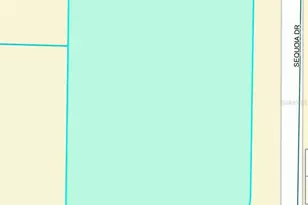 Tbd Sequoia Dr Trail, Ocklawaha, FL 32179 - Photo 1