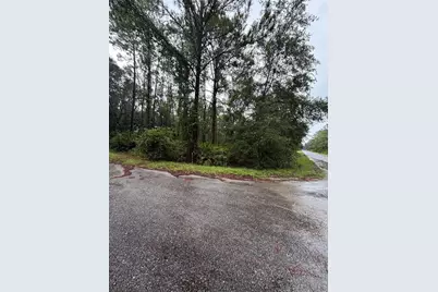 Tbd Sequoia Drive Trail, Ocklawaha, FL 32179 - Photo 1