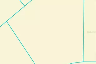 Tbd Sequoia Dr Trail, Ocklawaha, FL 32179 - Photo 1