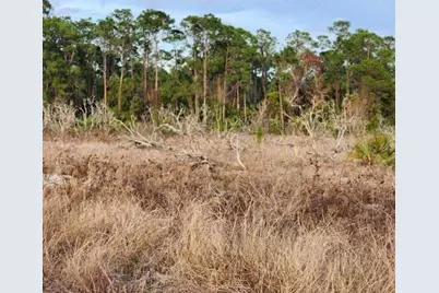 W Frostproof Road #Lot 17, Frostproof, FL 33843 - Photo 1