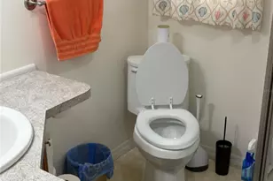 1217 Cr 440A, Lake Panasoffkee, FL 33538 - Photo 11