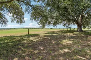 37149 Sandy Ln, Grand Island, FL 32735 - Photo 35