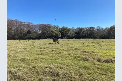 2436 Cr 416N, Lake Panasoffkee, FL 33538 - Photo 23