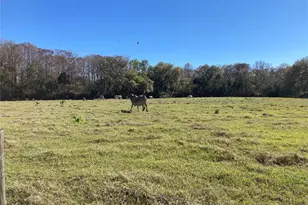 2436 Cr 416N, Lake Panasoffkee, FL 33538 - Photo 23