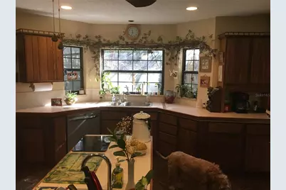 2436 Cr 416N, Lake Panasoffkee, FL 33538 - Photo 7