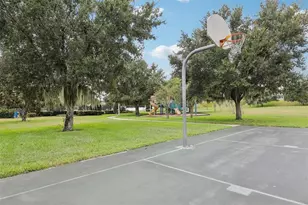 3207 Zander Dr, Grand Island, FL 32735 - Photo 45