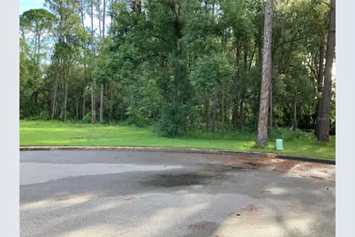 Timber Lane, Eustis, FL 32726 - Photo 1