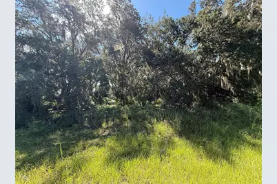 Lot 98 Bear Den Drive, Eustis, FL 32736 - Photo 5