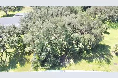 Lot 98 Bear Den Drive, Eustis, FL 32736 - Photo 7