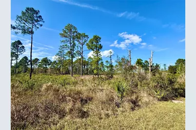 Lot 8 Honeysuckle Street, Eustis, FL 32736 - Photo 1