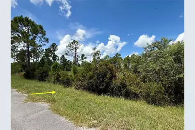 Lot 8 Honeysuckle Street, Eustis, FL 32736 - Photo 3