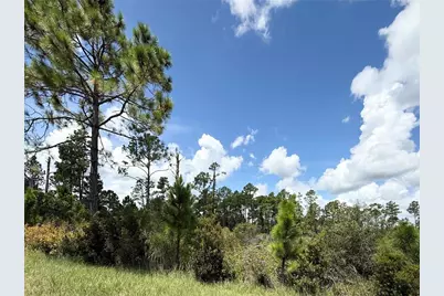 Lot 8 Honeysuckle Street, Eustis, FL 32736 - Photo 9