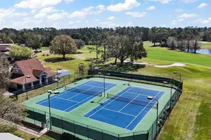 8012 St James Way, Mount Dora, FL 32757 - Photo 47