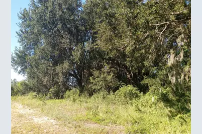 Postal Colony Road, Clermont, FL 34714 - Photo 9