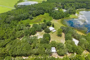7701 SE 170th Avenue Rd, Ocklawaha, FL 32179 - Photo 39