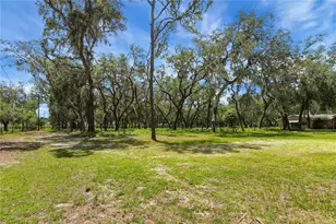 2901 Griffin View Dr, Lady Lake, FL 32159 - Photo 43