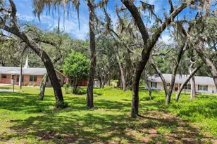 2901 Griffin View Dr, Lady Lake, FL 32159 - Photo 71