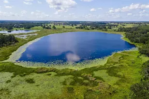 26833 Anderson Ranch Rd, Yalaha, FL 34797 - Photo 39