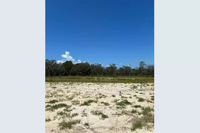 Lake Yale Road, Umatilla, FL 32784 - Photo 3