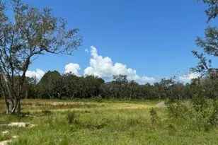 Lake Yale Rd, Umatilla, FL 32784 - Photo 1