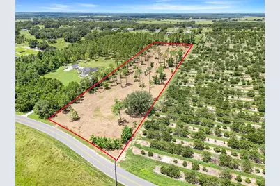 S Dewey Robbins Road, Howey in the Hills, FL 34737 - Photo 3
