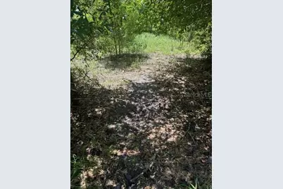 Sw Coles Court, Fort White, FL 32038 - Photo 15