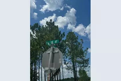 Sw Coles Court, Fort White, FL 32038 - Photo 29