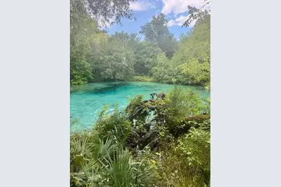 Sw Coles Court, Fort White, FL 32038 - Photo 35