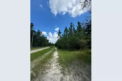 Sw Coles Court, Fort White, FL 32038 - Photo 7