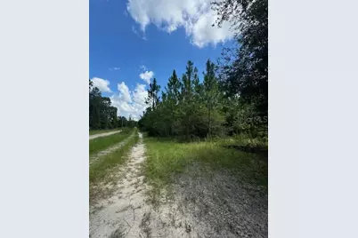 Sw Coles Court, Fort White, FL 32038 - Photo 5