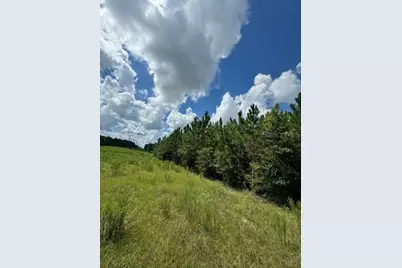 Sw Coles Court, Fort White, FL 32038 - Photo 3