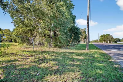 42012 State Road 19, Altoona, FL 32702 - Photo 5