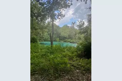 Sw Coles Court, Fort White, FL 32038 - Photo 33