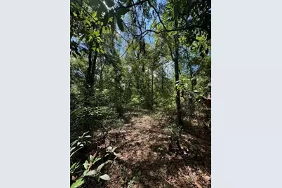 Sw Coles Court, Fort White, FL 32038 - Photo 15