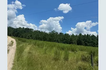 Sw Coles Court, Fort White, FL 32038 - Photo 25