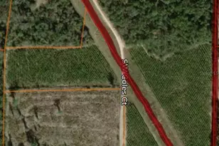 SW Coles Ct, Fort White, FL 32038 - Photo 1