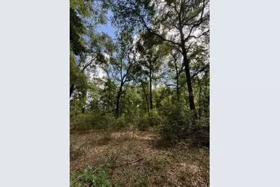 Sw Coles Court, Fort White, FL 32038 - Photo 13