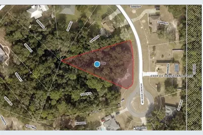 0 Hickory Ridge Drive, Fruitland Park, FL 34731 - Photo 1