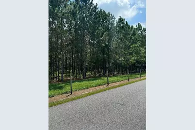 Cr 227 Road, Oxford, FL 34484 - Photo 3