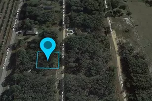 3180 W Ansonia Rd, Avon Park, FL 33825 - Photo 3