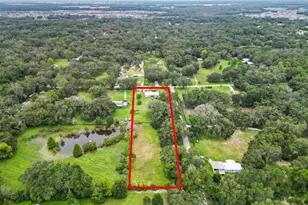 3765 Co Rd 513, Wildwood, FL 34785 - Photo 39